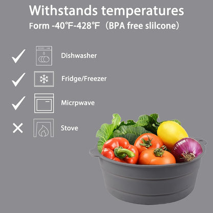 Collapsible Silicone Bowl for Camping, 25cm x 8.5cm