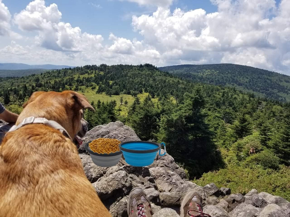 Collapsible Silicone Bowls 3 Pack (XL 25oz Each) with Color Matched Carabiner Clips - Dishwasher Safe BPA FREE Food Grade Silicone Portable Pet Bowls - Foldable for Journeys, Hiking, Kennels & Camping