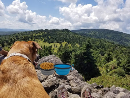 Collapsible Silicone Bowls 3 Pack (XL 25oz Each) with Color Matched Carabiner Clips - Dishwasher Safe BPA FREE Food Grade Silicone Portable Pet Bowls - Foldable for Journeys, Hiking, Kennels & Camping