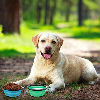 SLSON Dog Bowls Pet Collapsible Bowl with Cover Lids, 2 Pack Travel Bowls
