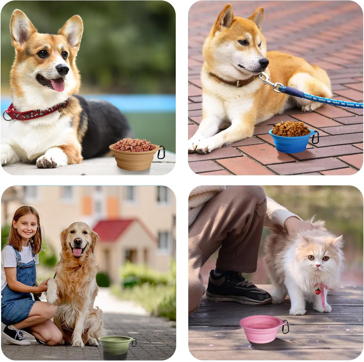 PetBonus 2-Pack Silicone Collapsible Dog Bowls, BPA Free Dishwasher Safe, Portable Foldable Expandable Travel Bowl, Food Water Feeding Cup Dish for Dogs Cats with 2 Carabiners (Light Blue & Green)