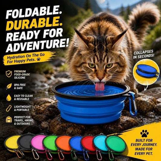 Collapsible Dog Bowls [3 Pack] 34 oz, Travel Dog Bowls, Pet Bowl Portable Foldable Water Food Feeding Dishes with Carabiner Clip for Traveling Hiking Walking-Red & Orange & Yellow