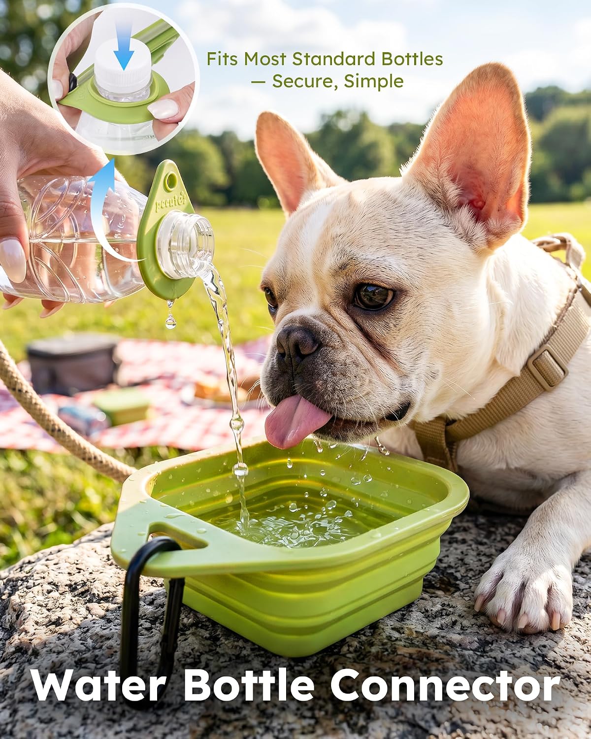 Pecute 2 Pack Collapsible Dog Bowls, Food-Grade Silicone, Blue & Green