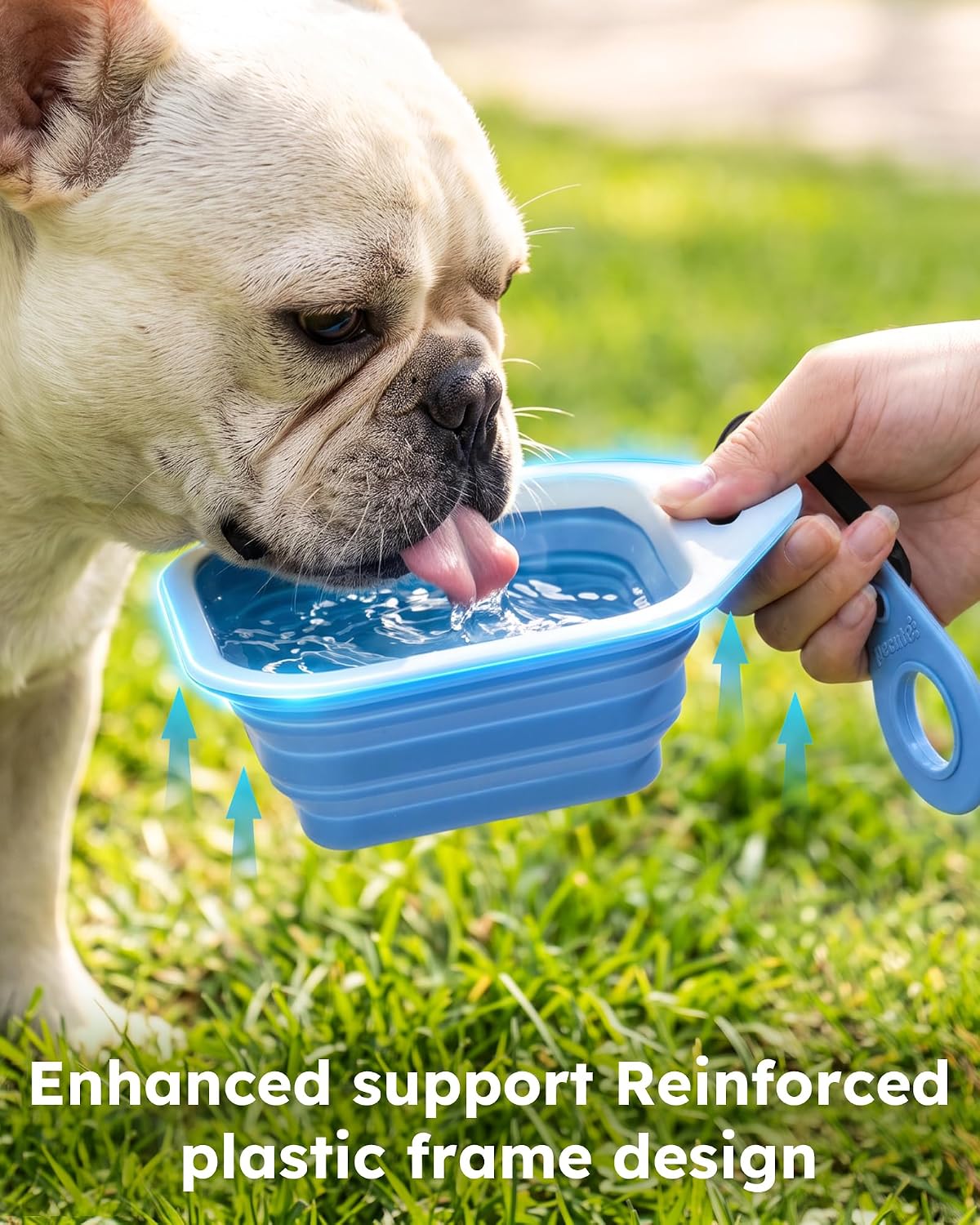Pecute 2 Pack Collapsible Dog Bowls, Food-Grade Silicone, Blue & Green