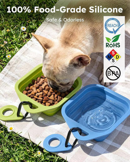Pecute 2 Pack Collapsible Dog Bowls, Food-Grade Silicone, Blue & Green