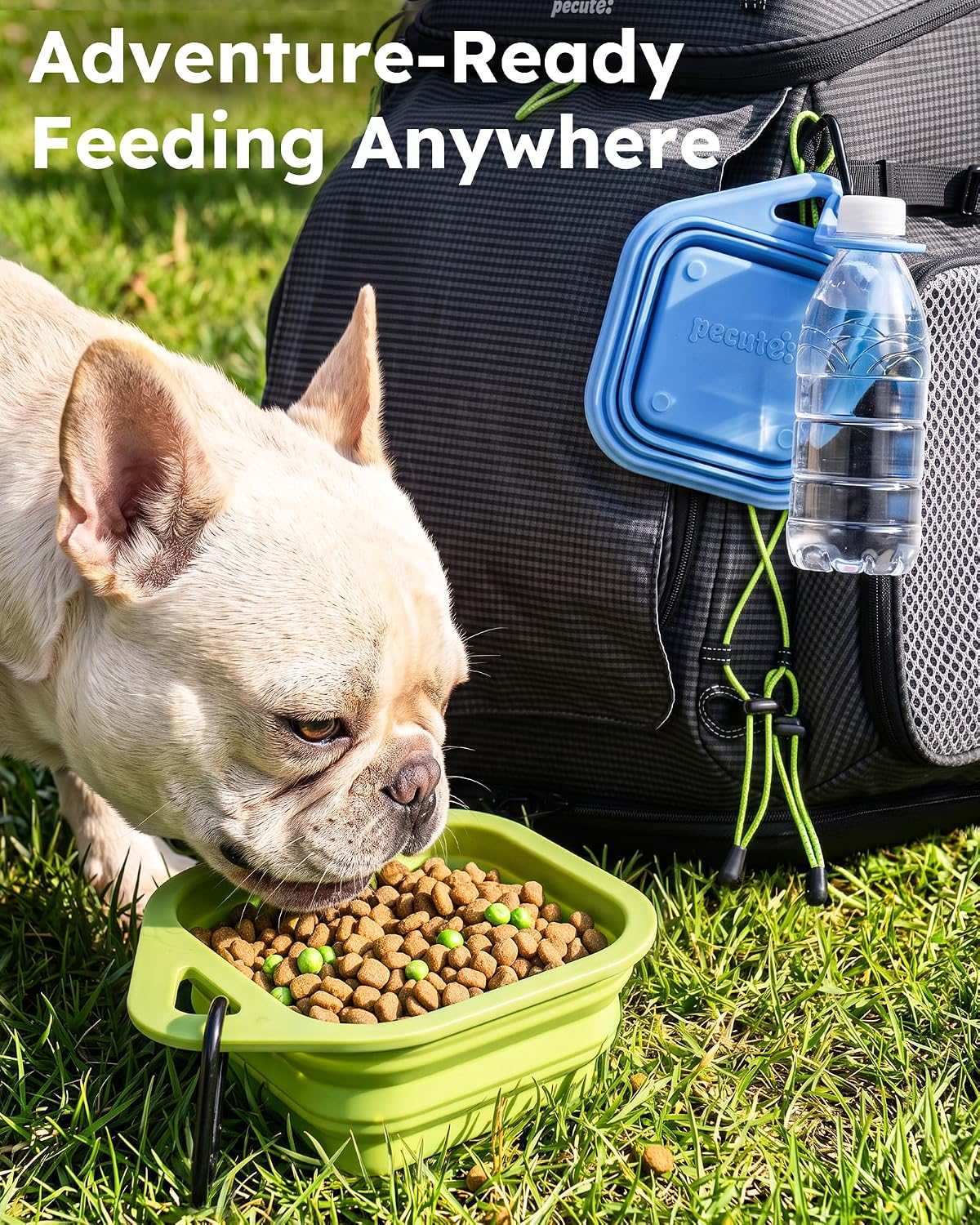 Pecute 2 Pack Collapsible Dog Bowls, Food-Grade Silicone, Blue & Green