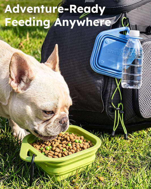Pecute 2 Pack Collapsible Dog Bowls, Food-Grade Silicone, Blue & Green